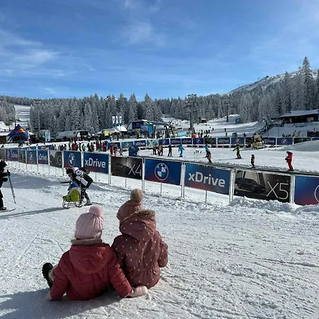 Biblioteka Cardaka 10/61