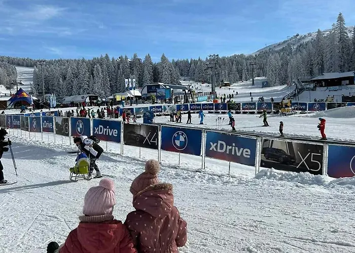 Biblioteka Cardaka 10/61