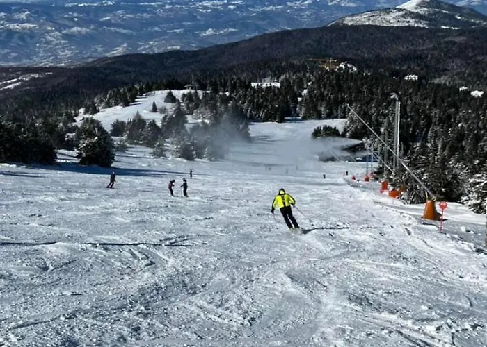 Biblioteka Cardaka 10/61 Διαμέρισμα