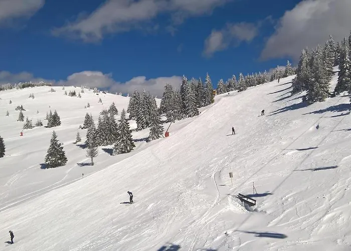 Biblioteka Cardaka 10/61 Διαμέρισμα Κοπαόνικ
