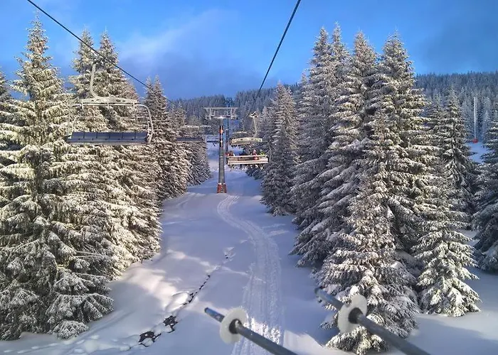 Biblioteka Cardaka 10/61 Διαμέρισμα Κοπαόνικ